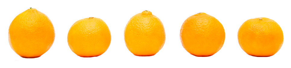 naranjas jose gimeno